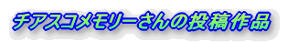 TUr[`̓ei